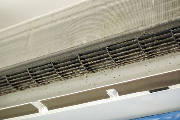Best Air Vent Cleaning Services  in Red Springs, NC